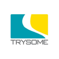 trysome auto electrical engineering pty ltd