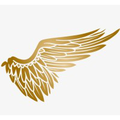 angel investor inc