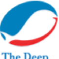 the deep seafood company llc