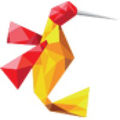 hummingbird web solutions private limited