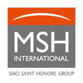 msh americas diot siaci group
