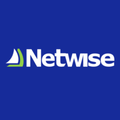 netwise excellence in crm and power platform