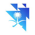 national center for privatization ppp
