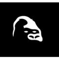 a thinking ape
