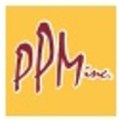 professional property management inc