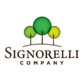 signorelli company