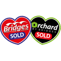 bridges group