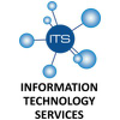 information technology services