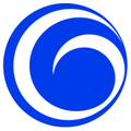 citiglobal realty development inc