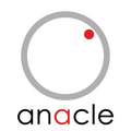 anacle systems limited