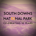 south downs national park authority