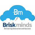 briskminds software solutions