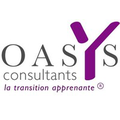oasys consultants