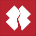 team rubicon