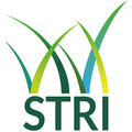 stri group