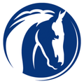 world horse welfare