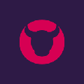 kyloe partners your bullhorn specialists