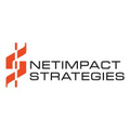 netimpact strategies inc