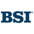 business software inc