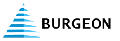 burgeon it services