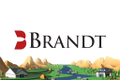 brandt information services
