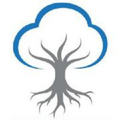 banyan medical