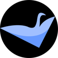 swan software solutions inc
