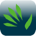 hawkes bay regional council