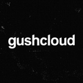 gushcloud international