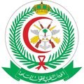 prince sultan armed forces hospital