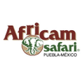 africam safari