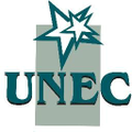 fundacao educacional de caratinga