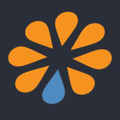 benetrends financial