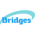 bridges trusted intelligent engineering partner