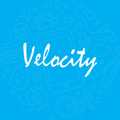 velocity software solutions private limited