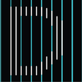 digits trading corporation