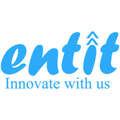 entit consultancy services pvt ltd