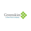 greenskies clean focus