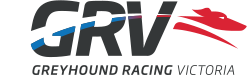 greyhound racing victoria
