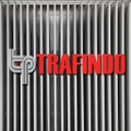 pt trafoindo prima perkasa
