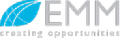 emm consulting pty limited