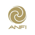 anfi group