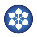 dcm shriram industries ltd