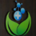 clinsync clinical research pvt ltd