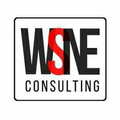 wsne consulting