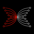 input output iohk