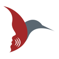 nyman associates inc