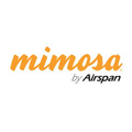mimosa