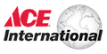 ace hardware international