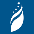 foundation for defense of democracies fdd